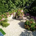 Pavica