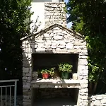 Pavica