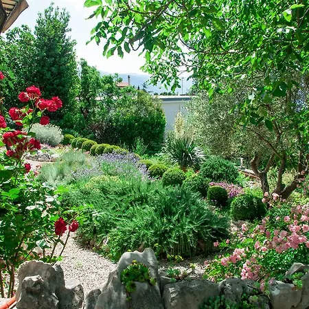 Pavica * Novi Vinodolski