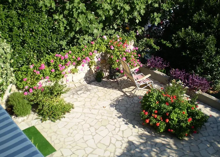 Pavica
