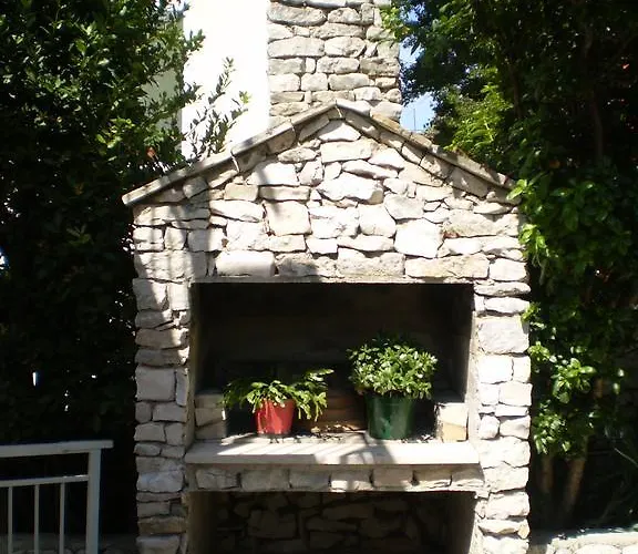 Pavica