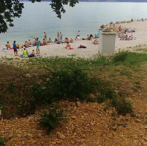 Pavica Novi Vinodolski