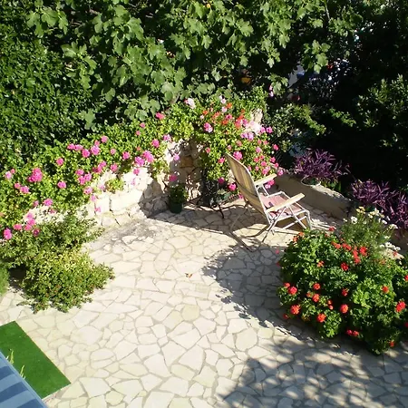 Pavica