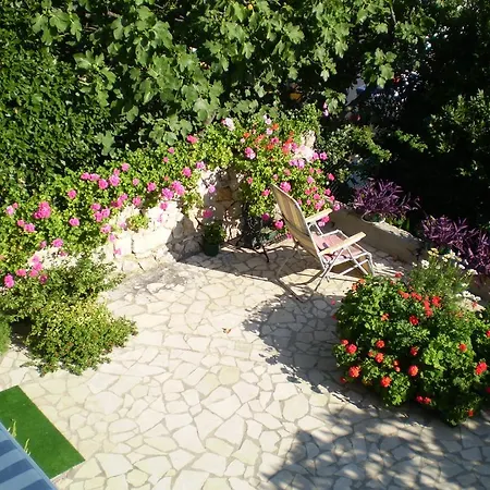 Pavica