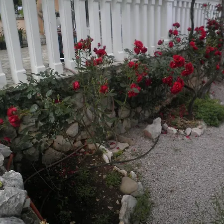 Apartment Pavica