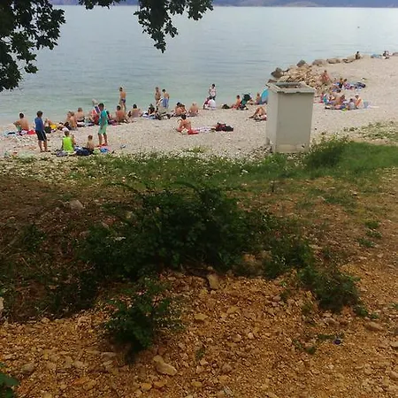 Pavica Novi Vinodolski